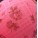 PINK/FLOWERS